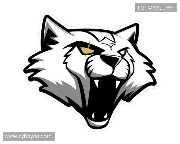 CSGO深度解析V5战队在阵地战中的战术运用与团队配合技巧